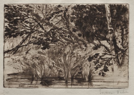 The Mouth of a Brook (Second Plate). Francis Seymour Haden (British, 1818-1910). Drypoint