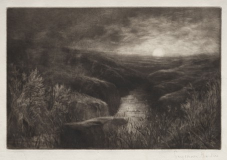 Haunt of the Mosquito. Francis Seymour Haden (British, 1818-1910). Mezzotint