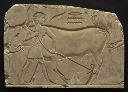 Men Trussing an Ox, 667-647 BC. Egypt, Thebes, Late Period, Late Dynasty 25 to Early Dynasty 26.