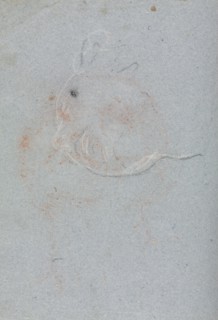 Verona Sketchbook: Head (page 30), 1760. Francesco Lorenzi (Italian, 1723-1787). Black chalk with