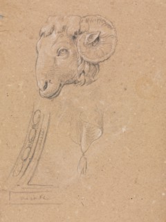 Verona Sketchbook: Ram's head (page12), 1760. Francesco Lorenzi (Italian, 1723-1787). Black chalk
