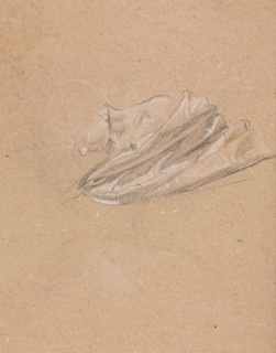 Verona Sketchbook: Head and shoulder with drapery (page 14), 1760. Francesco Lorenzi (Italian,