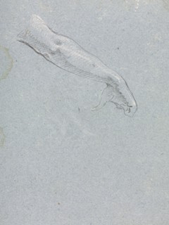 Verona Sketchbook: Right arm and hand (page 95), 1760. Francesco Lorenzi (Italian, 1723-1787).