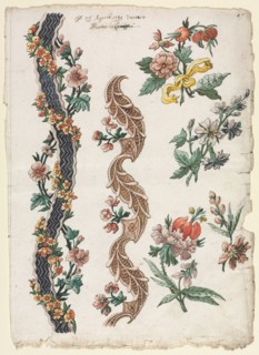 Floral Designs and Floral Bands, 1784. Giacomo Cavenezia (Italian). Pen and brown ink, brush and