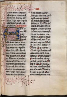 Gospel Book with Evangelist Portraits: Decorated Initial, c. 1480. Hausbuch Master (German). Ink,