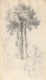 Sketchbook: Tree Study, 1814. Samuel Prout (British, 1783-1852). Graphite ; each page: 13.5 x 23.4