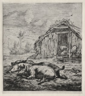 Three Swine Lying in Front of a Sty, 1850. Charles Meryon (French, 1821-1868). Etching