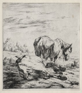 The Two Horses, 1850. Charles Meryon (French, 1821-1868). Etching