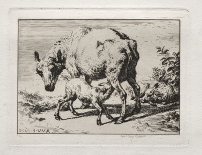The Ewe with Two Lambs, 1850. Charles Meryon (French, 1821-1868). Etching