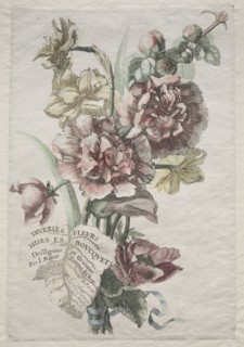 Divers fleurs mises en boucquets:  No. 1 - Hollyhocks and Narcissus, c. 1670. Jacques I Bailly