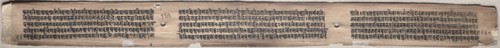 Leaf from Gandavyuha: text, from Chapter 22 Achala (verso), 1000-1100s. Eastern India, Pala period.