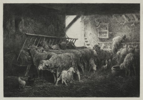 Interior of Sheep Enclosure. Charles-Émile Jacque (French, 1813-1894). Drypoint and roulette