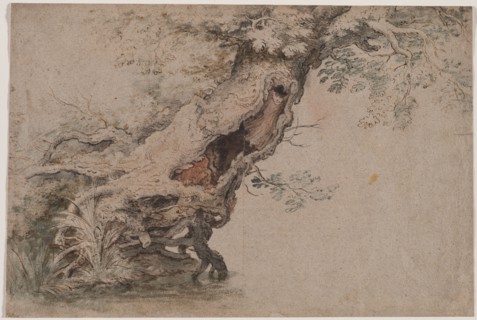 Hollow Tree, after Roelant Savery, after 1670. Lambert Doomer (Dutch, 1623-1700), copy after
