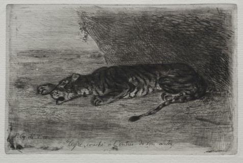 Tigre couché à l'entrée de son antre. Eugène Delacroix (French, 1798-1863). Etching
