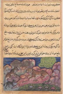 Page from Tales of a Parrot (Tuti-nama): Fifteenth night: The wolf advises the lion to consult the