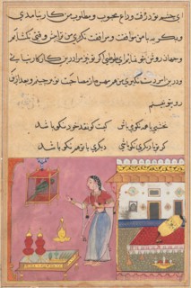 Page from Tales of a Parrot (Tuti-nama): Twentieth night: The parrot addresses Khujasta at the