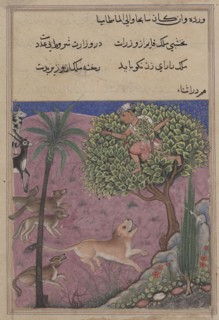 Page from Tales of a Parrot (Tuti-nama): Twenty-first night: The wolf and the jackal, serving as