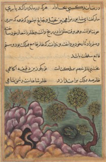 Page from Tales of a Parrot (Tuti-nama): Twenty-sixth night: The dethroned frog Shapur seeks the