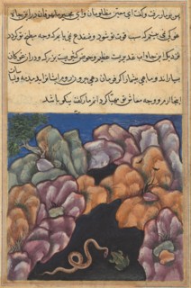 Page from Tales of a Parrot (Tuti-nama): Twenty-sixth night: The snake enters into an argument with