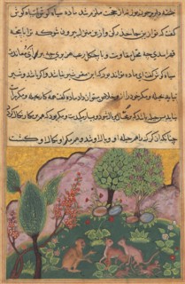 Tuti-Nama (Tales of a Parrot): Tale XXIX, c. 1560. India, Mughal, Reign of Akbar, 16th century.