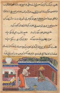Page from Tales of a Parrot (Tuti-nama): Thirty-first night: The parrot addresses Khujasta at the