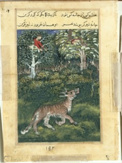 Page from Tales of a Parrot (Tuti-nama): Thirty-first night: The donkey, in a tiger’s skin, reveals