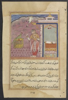 Page from Tales of a Parrot (Tuti-nama): Forty-fourth night: The parrot addresses Khujasta at the