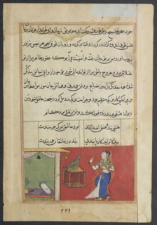 Page from Tales of a Parrot (Tuti-nama): Forty-seventh night: The parrot addresses Khujasta at the