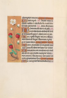 Hours of Queen Isabella the Catholic, Queen of Spain:  Fol. 102v, c. 1495-1500. And associates