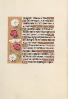 Hours of Queen Isabella the Catholic, Queen of Spain:  Fol. 104v, c. 1500. And associates Master of