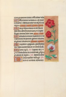 Hours of Queen Isabella the Catholic, Queen of Spain:  Fol. 105r, c. 1500. And associates Master of