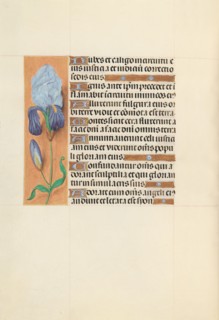 Hours of Queen Isabella the Catholic, Queen of Spain:  Fol. 108v, c. 1495-1500. And associates