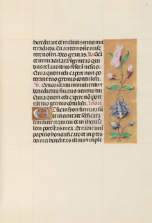 Hours of Queen Isabella the Catholic, Queen of Spain:  Fol. 111r, c. 1500. And associates Master of