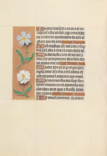 Hours of Queen Isabella the Catholic, Queen of Spain:  Fol. 117v, c. 1495-1500. And associates