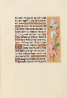 Hours of Queen Isabella the Catholic, Queen of Spain:  Fol. 118r, c. 1500. And associates Master of