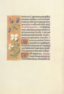 Hours of Queen Isabella the Catholic, Queen of Spain:  Fol. 139v, c. 1495-1500. And associates