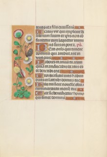 Hours of Queen Isabella the Catholic, Queen of Spain:  Fol. 143v, c. 1500. And associates Master of