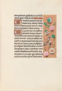 Hours of Queen Isabella the Catholic, Queen of Spain:  Fol. 145r, c. 1495-1500. And associates