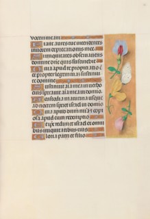 Hours of Queen Isabella the Catholic, Queen of Spain:  Fol. 156r, c. 1500. And associates Master of
