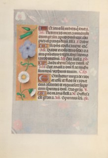 Hours of Queen Isabella the Catholic, Queen of Spain:  Fol. 160v, c. 1495-1500. And associates