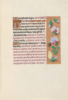 Hours of Queen Isabella the Catholic, Queen of Spain:  Fol. 165r, c. 1500. And associates Master of