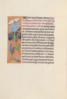 Hours of Queen Isabella the Catholic, Queen of Spain:  Fol. 165v, c. 1495-1500. And associates