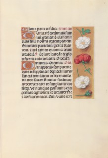 Hours of Queen Isabella the Catholic, Queen of Spain:  Fol. 19r, c. 1500. And associates Master of