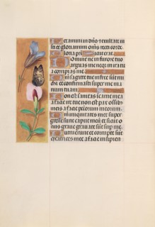 Hours of Queen Isabella the Catholic, Queen of Spain:  Fol. 202v, c. 1500. And associates Master of