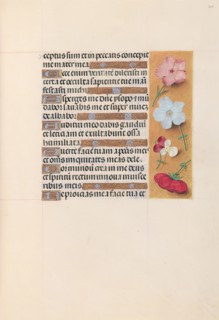 Hours of Queen Isabella the Catholic, Queen of Spain:  Fol. 205r, c. 1495-1500. And associates