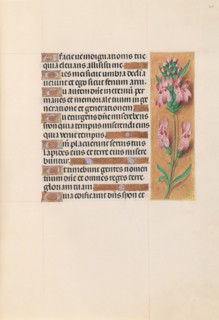 Hours of Queen Isabella the Catholic, Queen of Spain:  Fol. 207r, c. 1500. And associates Master of