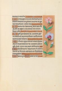 Hours of Queen Isabella the Catholic, Queen of Spain:  Fol. 208r, c. 1495-1500. And associates