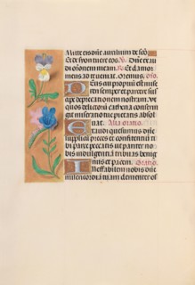 Hours of Queen Isabella the Catholic, Queen of Spain:  Fol. 216v, c. 1495-1500. And associates
