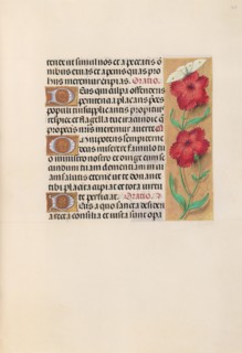 Hours of Queen Isabella the Catholic, Queen of Spain:  Fol. 217r, c. 1500. And associates Master of