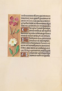 Hours of Queen Isabella the Catholic, Queen of Spain:  Fol. 217v, c. 1495-1500. And associates
